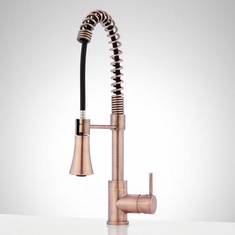 Steyn Kitchen Faucet with Spring Spout
